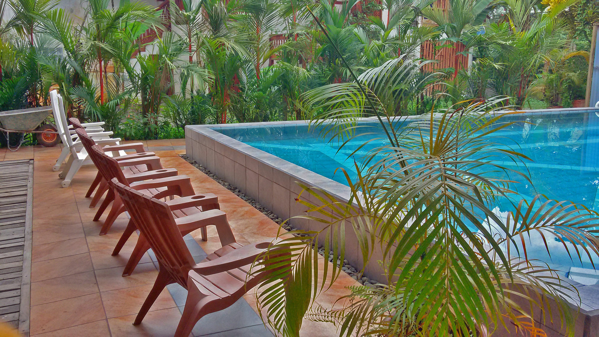Lizard King Resort Puerto Viejo de Talamanca Экстерьер фото