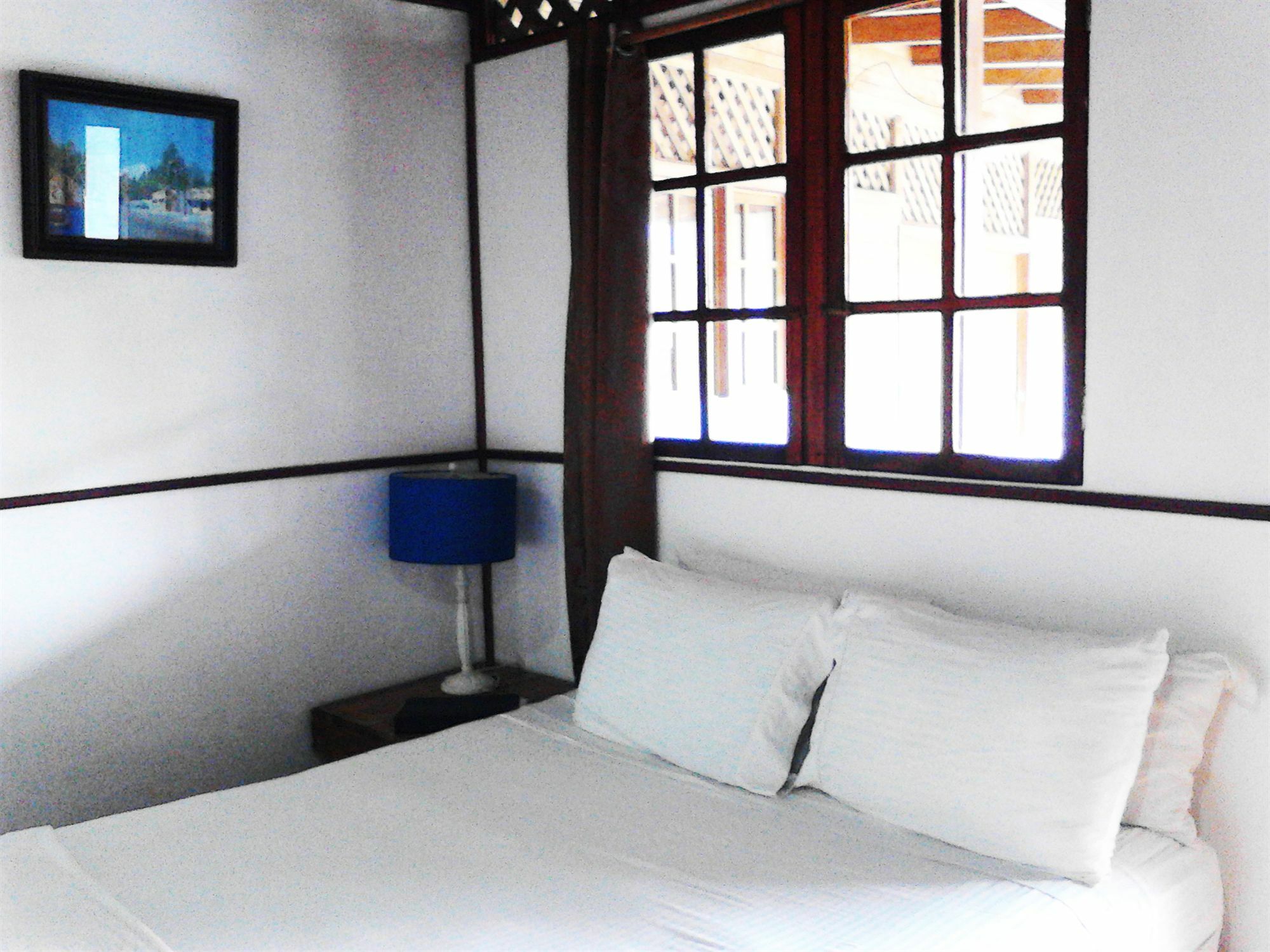 Lizard King Resort Puerto Viejo de Talamanca Экстерьер фото